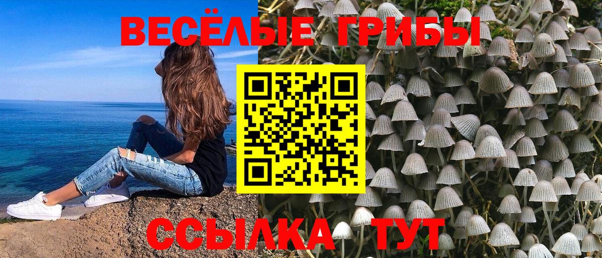 Галлюциногенные грибы мицелий Наро-Фоминск