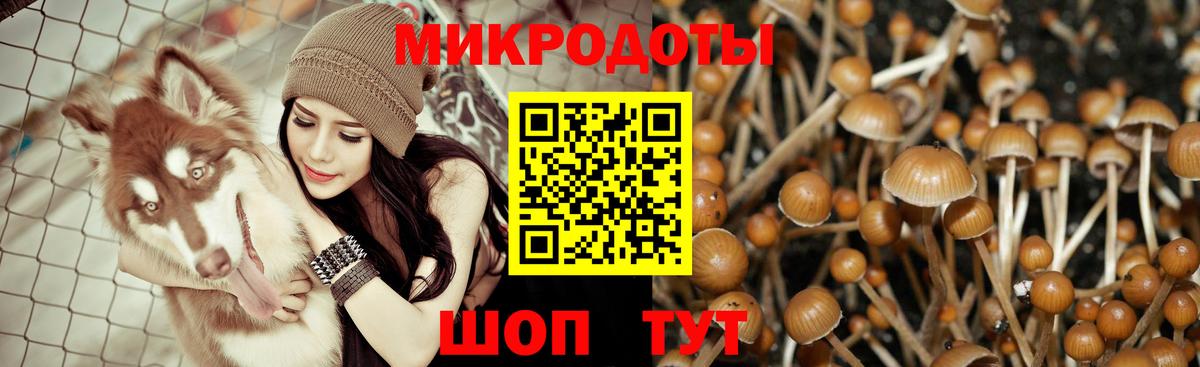 Галлюциногенные грибы мицелий  Вход с VPN  Галлюциногенные грибы прущие грибы  Наро-Фоминск 